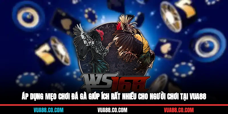 Áp dụng mẹo chơi đá gà giúp ích rất nhiều cho người chơi tại Vua88