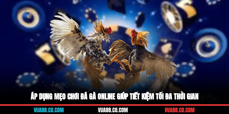 Áp dụng mẹo chơi đá gà online giúp tiết kiệm tối đa thời gian