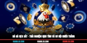 xem đá gà cựa sắt