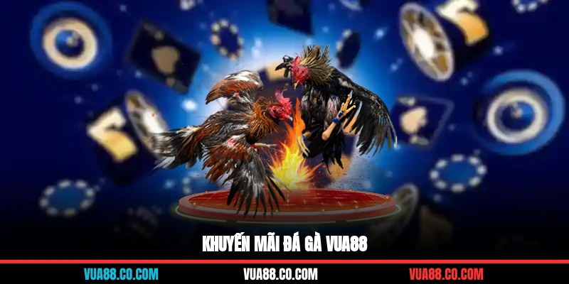 Khuyến mãi đá gà Vua88
