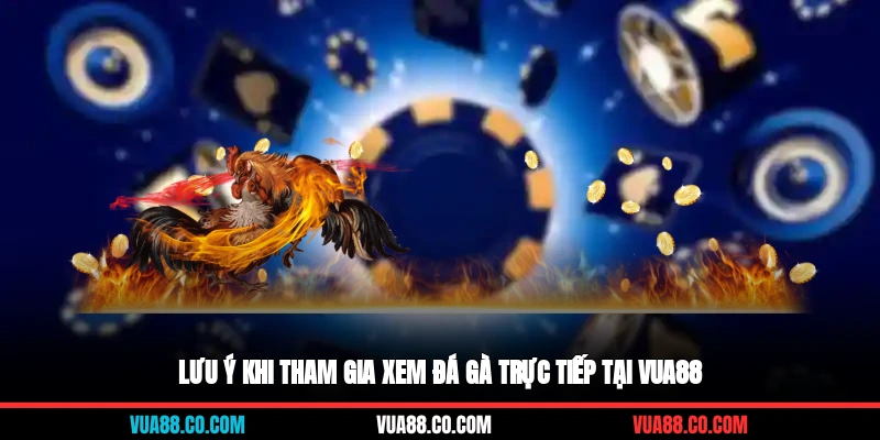 Lưu ý khi tham gia xem đá gà trực tiếp tại Vua88