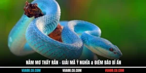 nằm mơ thấy rắn