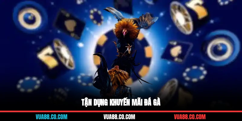Tận dụng khuyến mãi đá gà