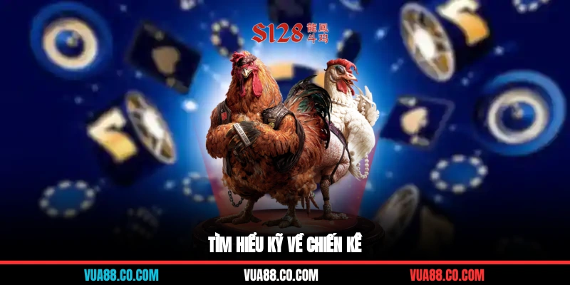 Tìm hiểu kỹ về chiến kê