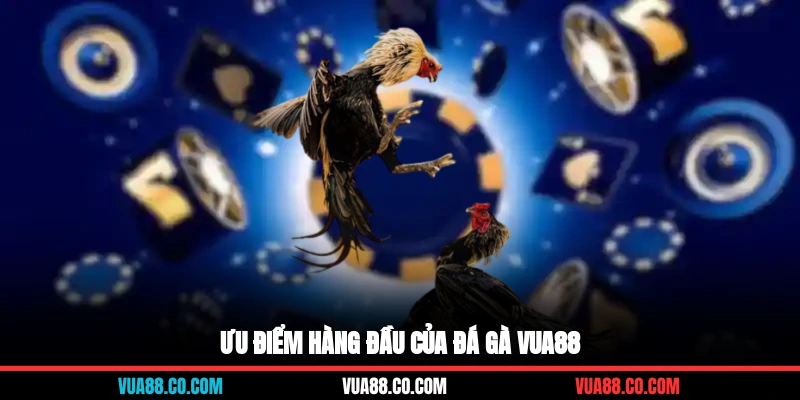 Ưu điểm hàng đầu của đá gà VUA88